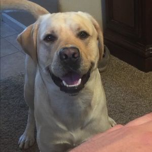 Meet your Posher, Garrett